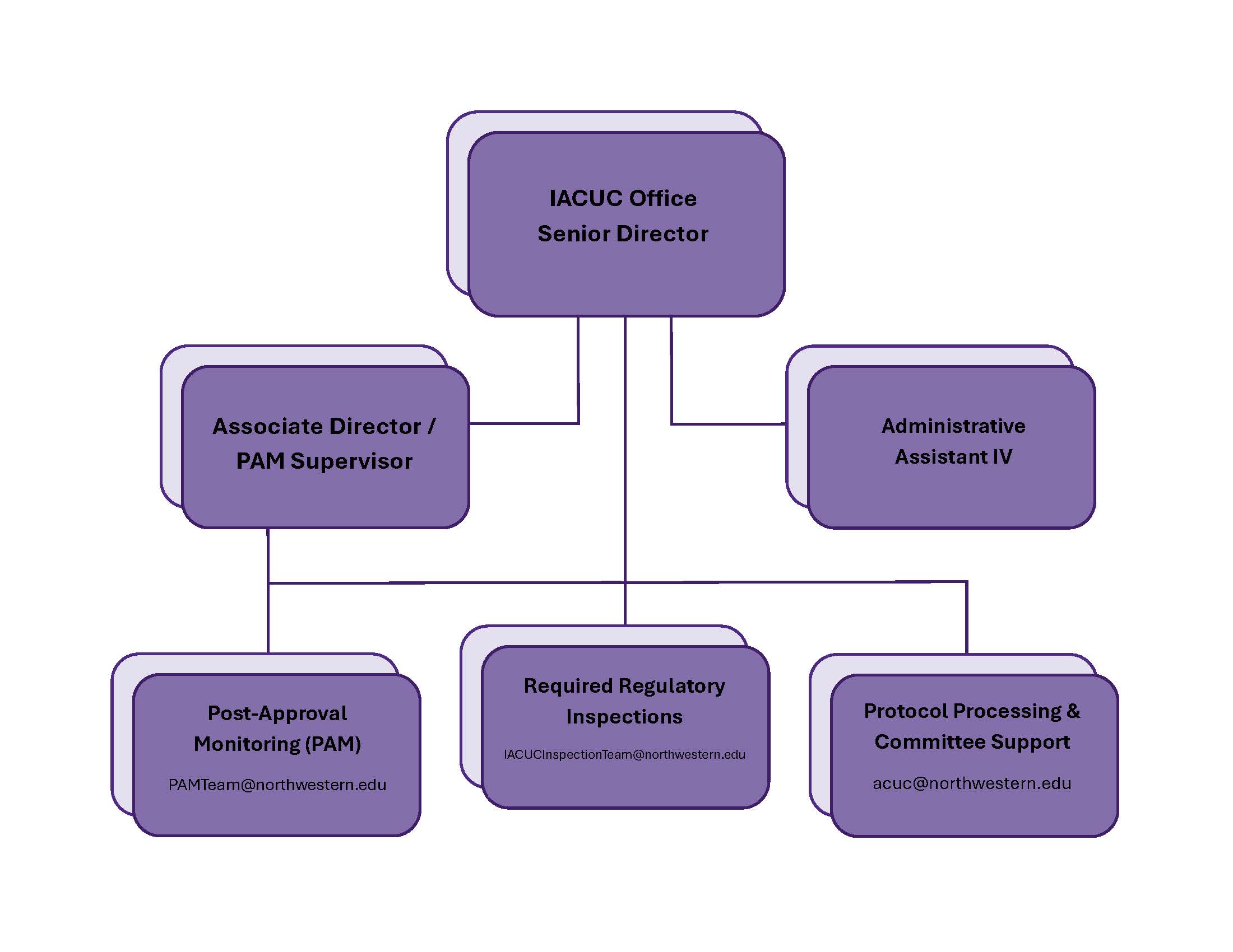 Chart for IACUC Office Structure